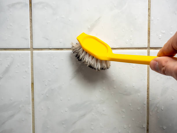 Best Toxic Mold Removal  in Oakland, MO