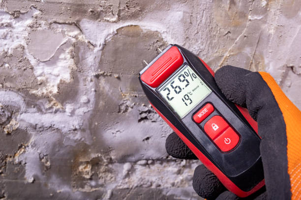 Best Office Mold Removal Services  in Oakland, MO